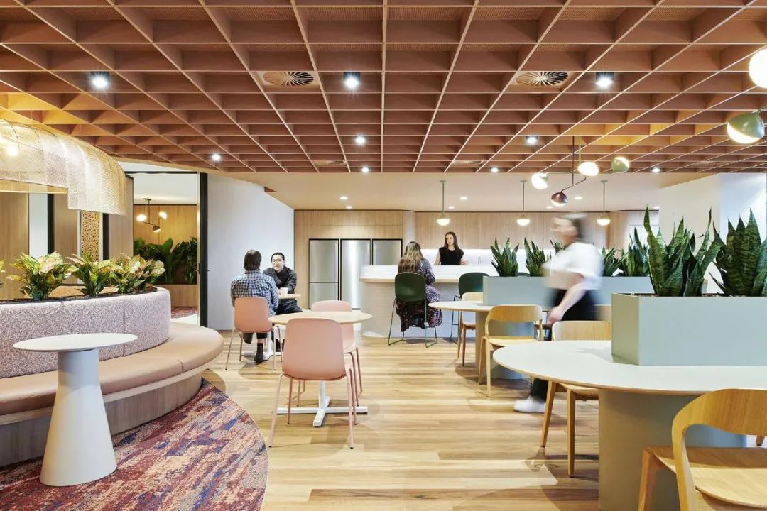 Royal Melbourne Hospital Office: Warm and Fashionable Design Advocating Healthy Working Practices