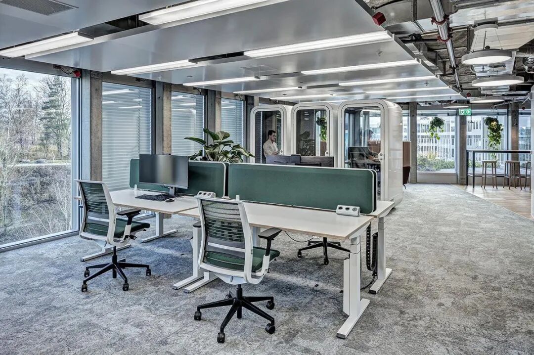 Microsoft Ecological Workplace Office Environment Design